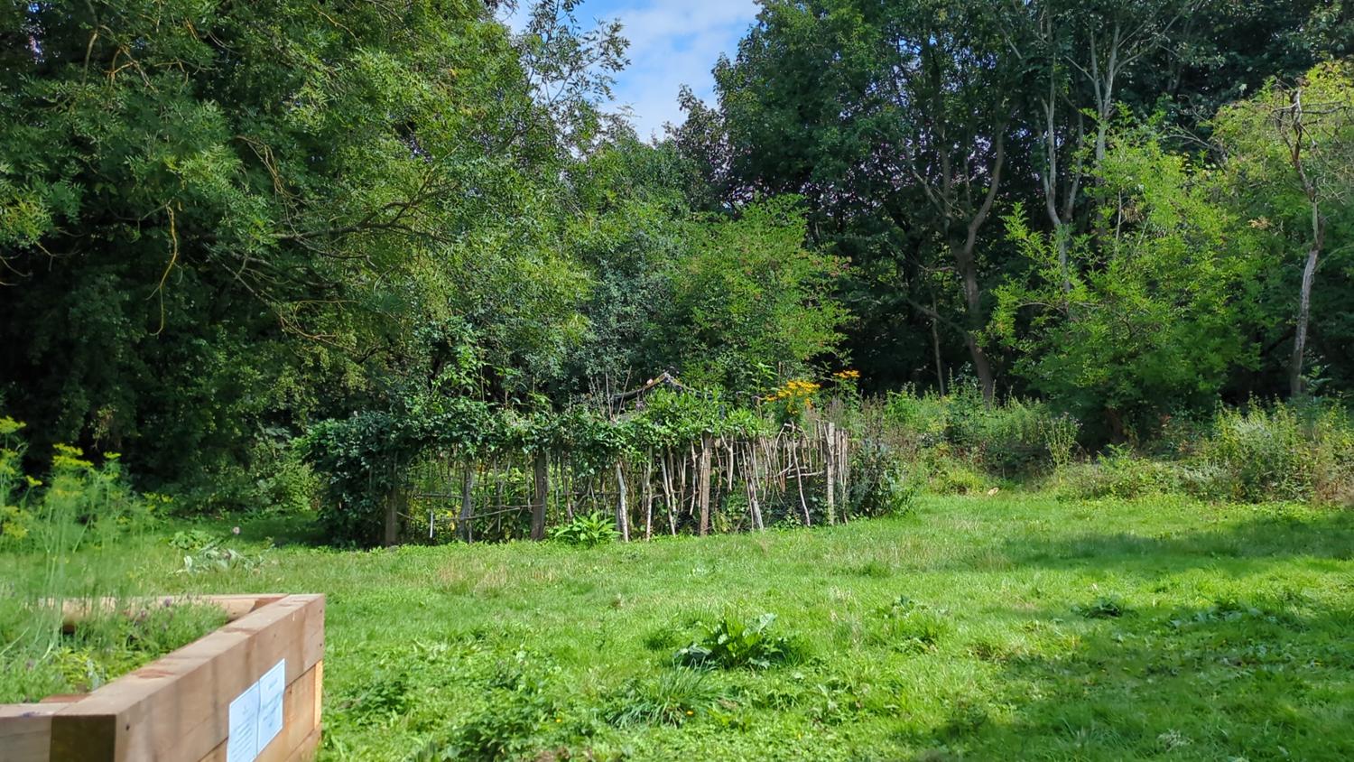 image description is not available