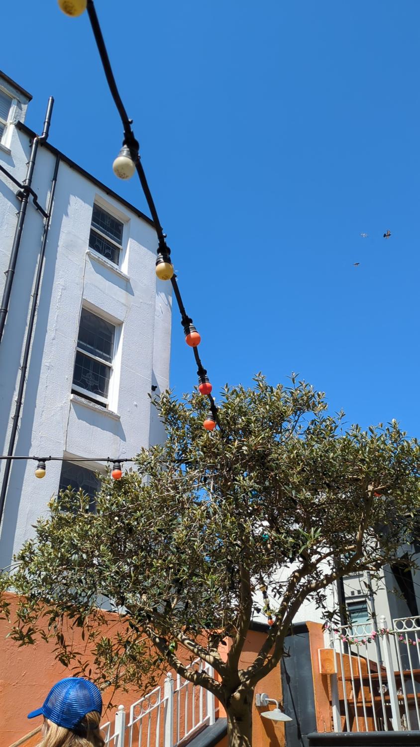The image shows a low-angle view of a building with white walls, windows, and a sloping roof.  A string of outdoor lights with colorful bulbs hangs across the front of the building, and a tree with dense foliage is situated to the right.  The sky is clear and blue.  The image also contains an orange building behind and to the right of the white building and a person wearing a blue hat.